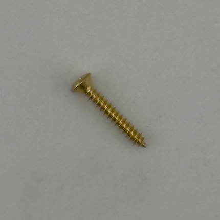 WireOn Trim Screws – 4 × 3/4" Gold Stainless Steel (20 pcs Pack)