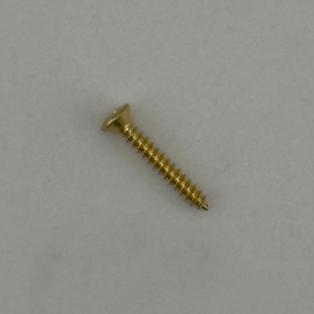 WireOn Trim Screws – 4 × 3/4" Gold Stainless Steel (20 pcs Pack)