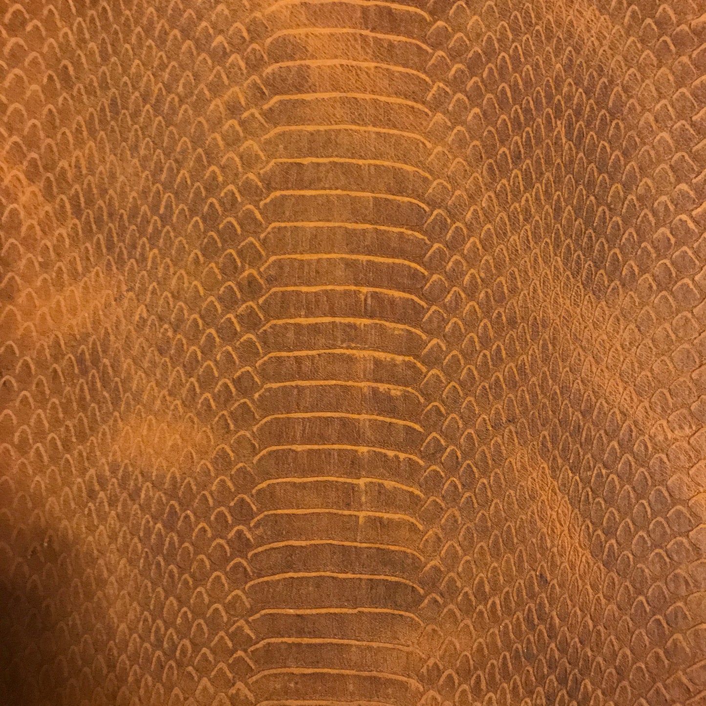Dragon Skin Leather - American Leatherworks